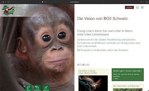 BOS Schweiz